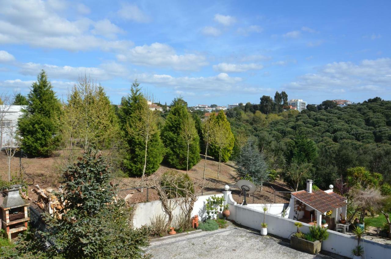 Casa Da Palmeira Leiria Luaran gambar